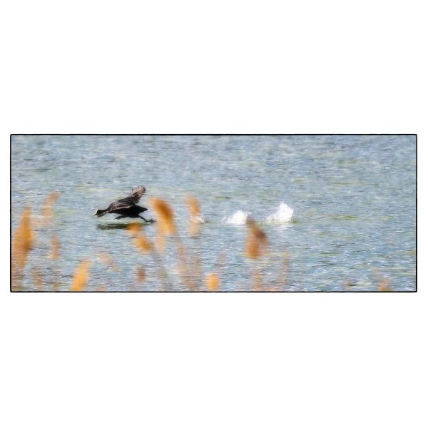 PHOTO84, CLUB, 84 , LUBERON